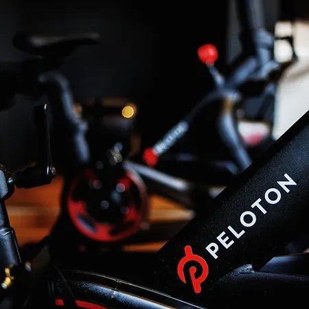 호텔 Seehotel Litz 랑게나르겐