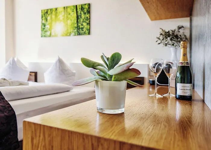 Seehotel Litz Langenargen